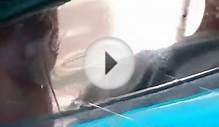 Windshield Repair, Auto Glass (Houston)